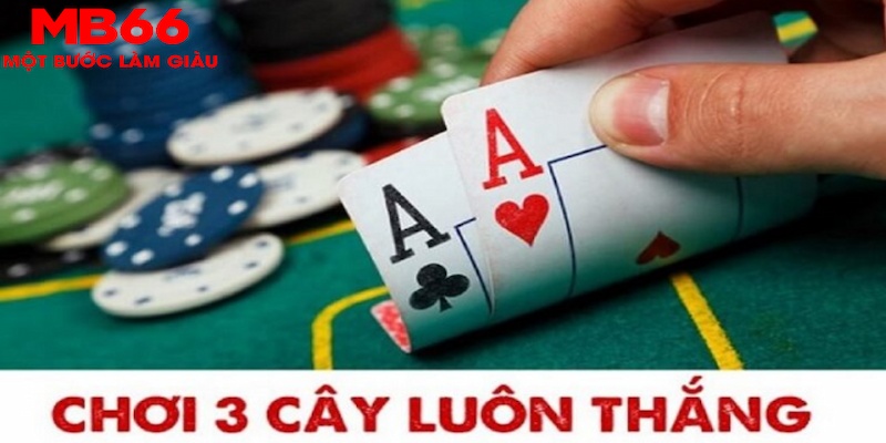 five88 vin SA Trực Tuyến