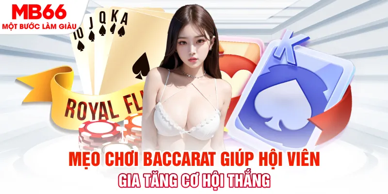 five88 vin đá gà 88