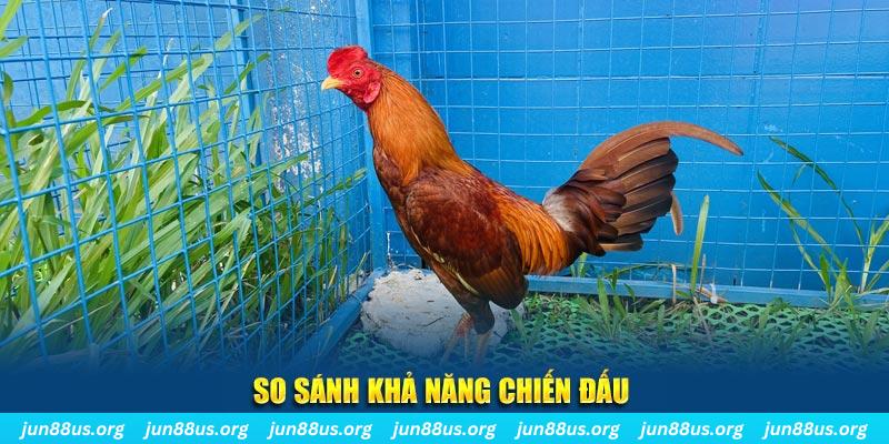 five88 vin xổ số tiền giang