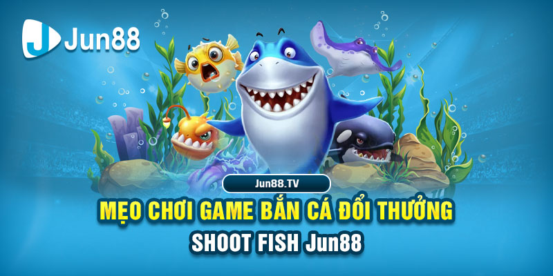 five88 vin tai game danh bai bigkool ve may tinh
