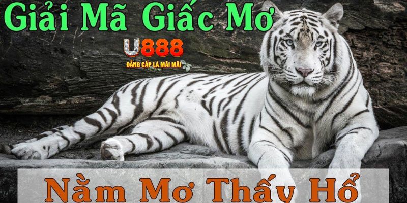 five88 vin xổ số kiến thiết miền bắc
