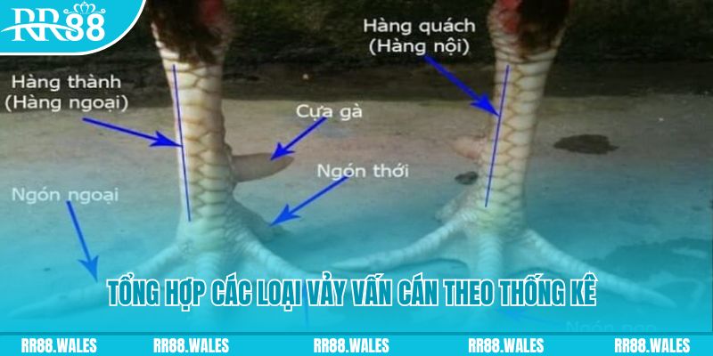 five88 vin nổ hũ chơi như thế nào