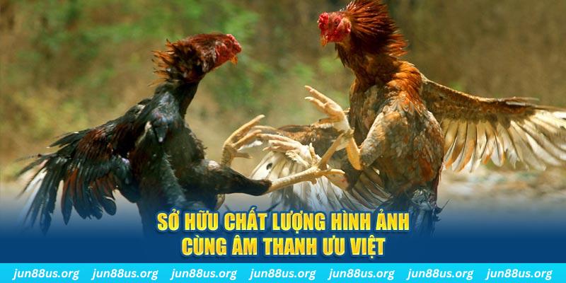 five88 vin tai game danh bai ve may tinh