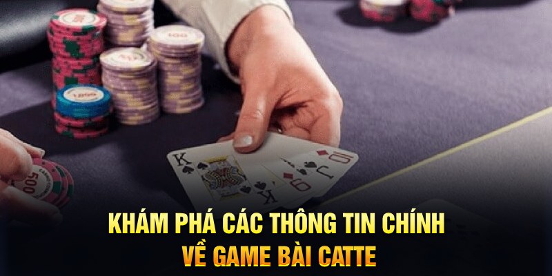 five88 vin Trăm người Bo tám Bo chín