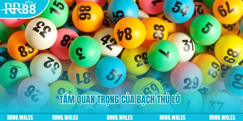 five88 vin đá gà trực tiếp casino