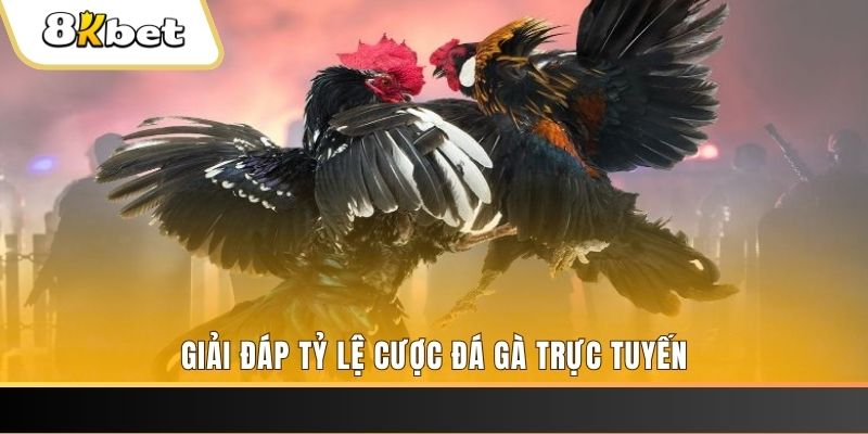 five88 vin xổ số ba đài