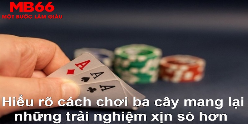 five88 vin ÁT CHỦ BÀI GIÀNH LẤY ZHUANG NIUNIU ( XEM 3 LÁ )