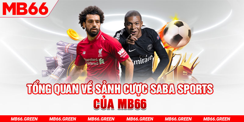 five88 vin slot có nghĩa là gì