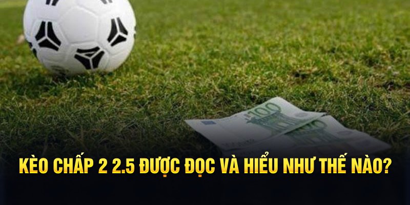 five88 vin đá gà thomo