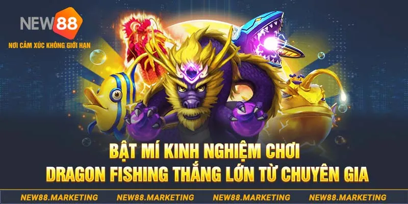 five88 vin who wants to be a millionaire slot